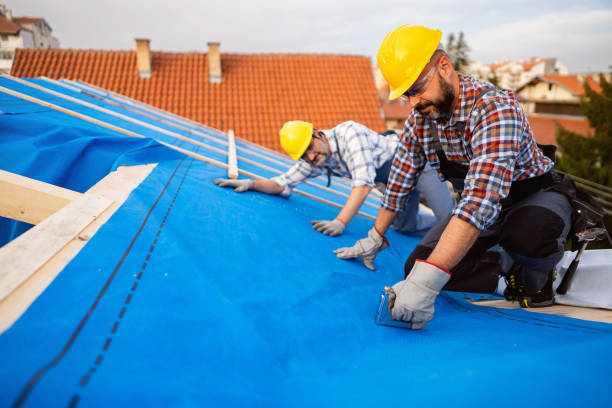 Experienced roofing contractor inspecting roof condition for maintenance and repairs